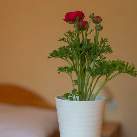 威拉维多洛卡旅馆 3* 扎科帕内